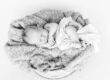 newborn foto Fotostudio Pötzsch Leipzig