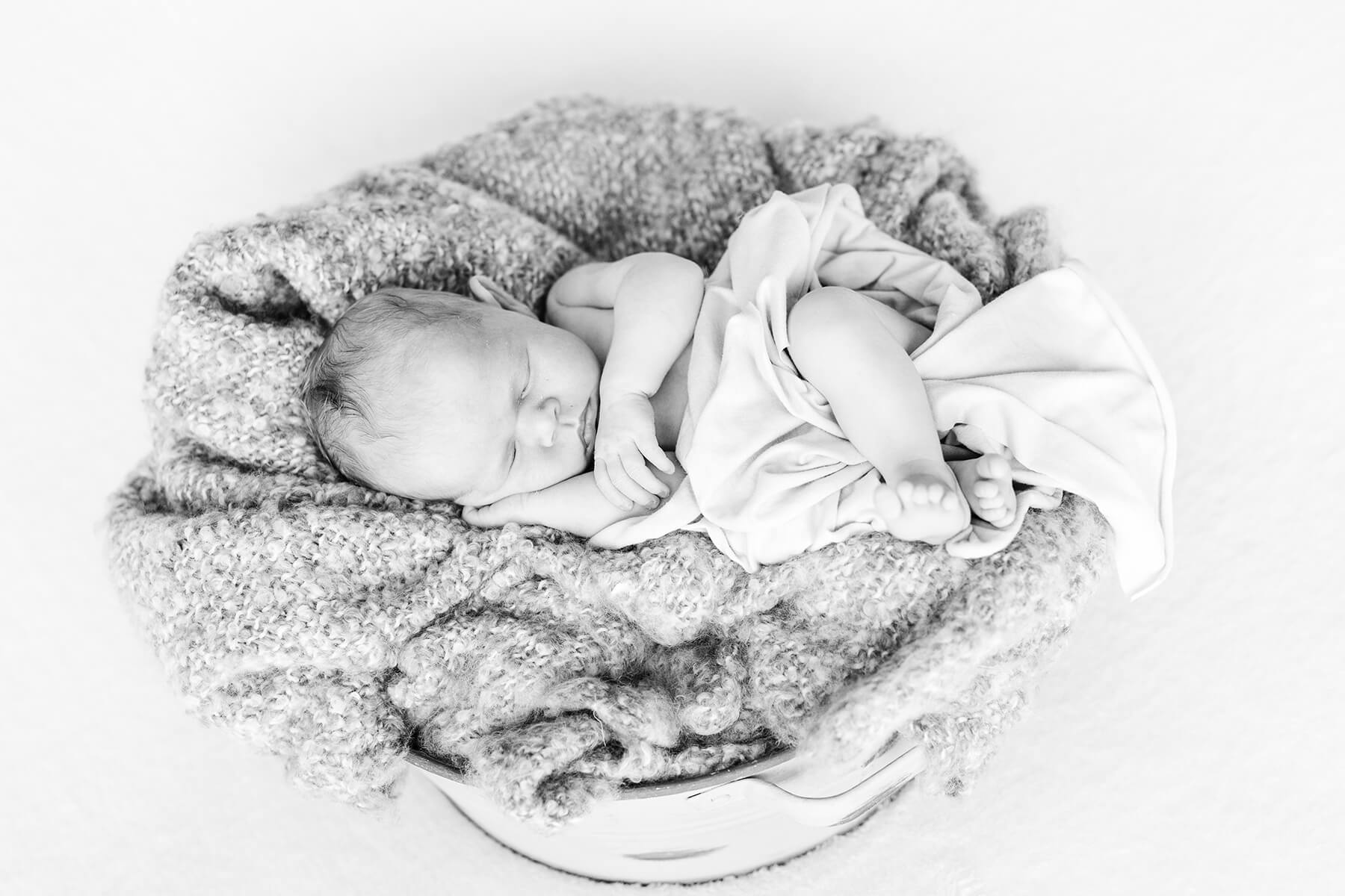 newborn foto Fotostudio Pötzsch Leipzig